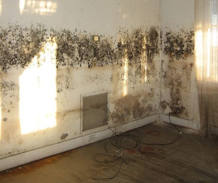 علاج رطوبة الحوائط,افضل علاج لرطوبة الحوائط,طريقة علاج الرطوبة فى الحوائط,طريقة علاج رطوبة الحوائط,علاج الحوائط من الرطوبة,علاج الرطوبة فى الحوائط,علاج الرطوبه في الحوائط,علاج رطوبة الحوائط والجدران فكرة ديكور جديدة,كيفية علاج الرطوبة فى الحوائط,كيفية علاج رطوبة الحوائط,معالجة الرطوبه فى الحوائط,معالجه الرطوبه بالحوائط