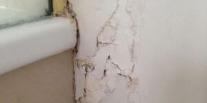 علاج رطوبة الحوائط,افضل علاج لرطوبة الحوائط,طريقة علاج الرطوبة فى الحوائط,طريقة علاج رطوبة الحوائط,علاج الحوائط من الرطوبة,علاج الرطوبة فى الحوائط,علاج الرطوبه في الحوائط,علاج رطوبة الحوائط والجدران فكرة ديكور جديدة,كيفية علاج الرطوبة فى الحوائط,كيفية علاج رطوبة الحوائط,معالجة الرطوبه فى الحوائط,معالجه الرطوبه بالحوائط