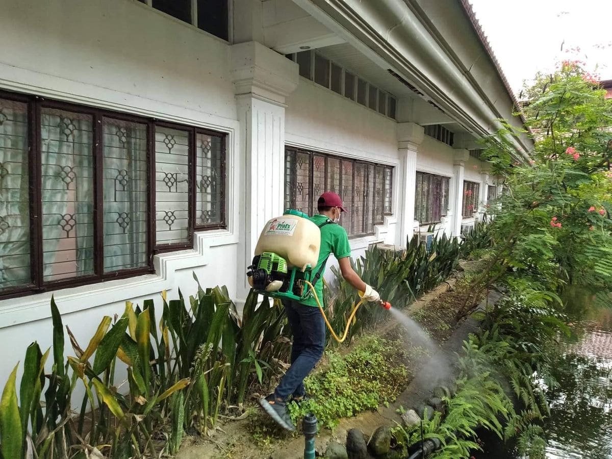 شركة رش دفان بالرياض,رش دفان بالرياض.شركة رش دفان